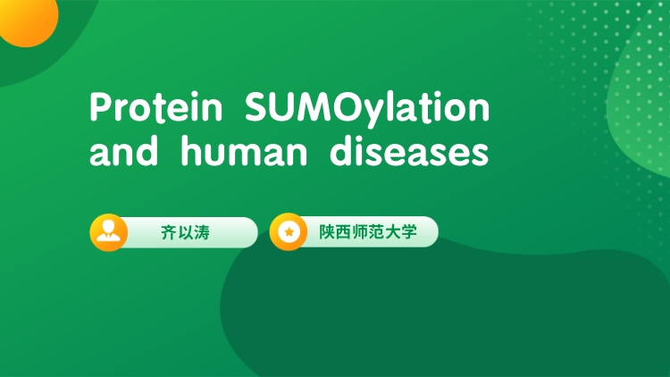 Protein SUMOylation and human diseases